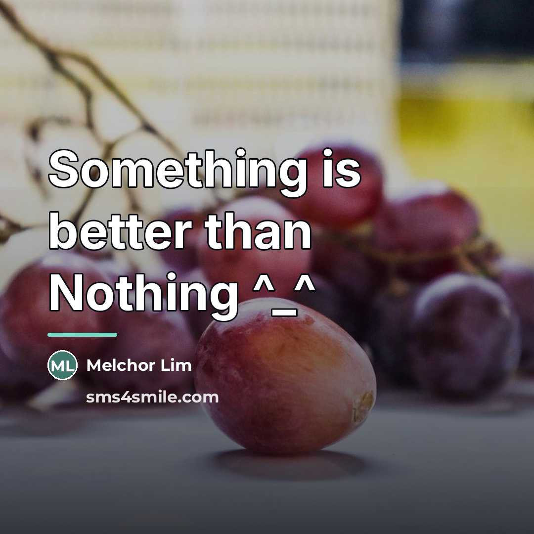 “Something is better than Nothing ^_^…” quote by Melchor Lim