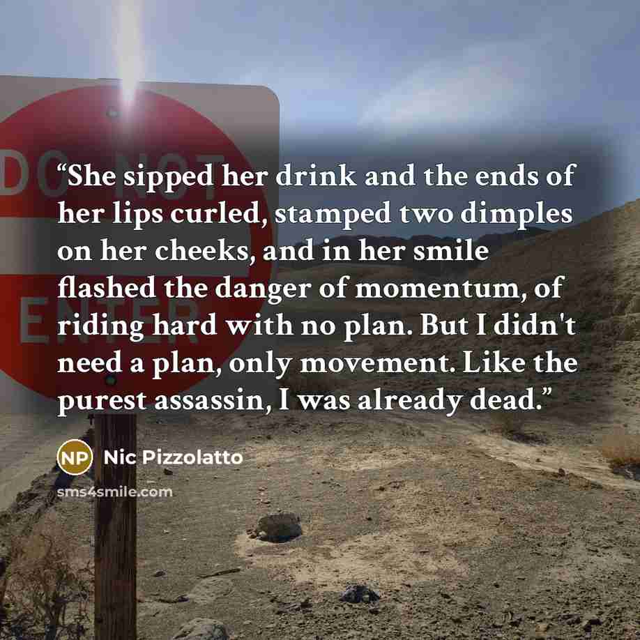 “She sipped her drink and the ends of her lips curled, stamped two dimples on her cheeks, and in her smile flashed the danger of momentum, of riding hard with no plan. But I didn't need a plan, only movement. Like the purest assassin, I was already dead.” quote by Nic Pizzolatto