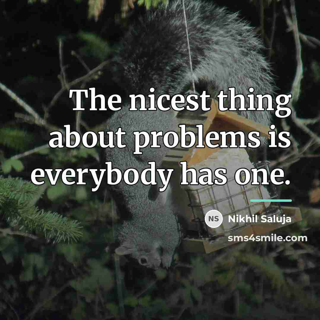 “The nicest thing about problems is everybody has one.…” quote by Nikhil Saluja
