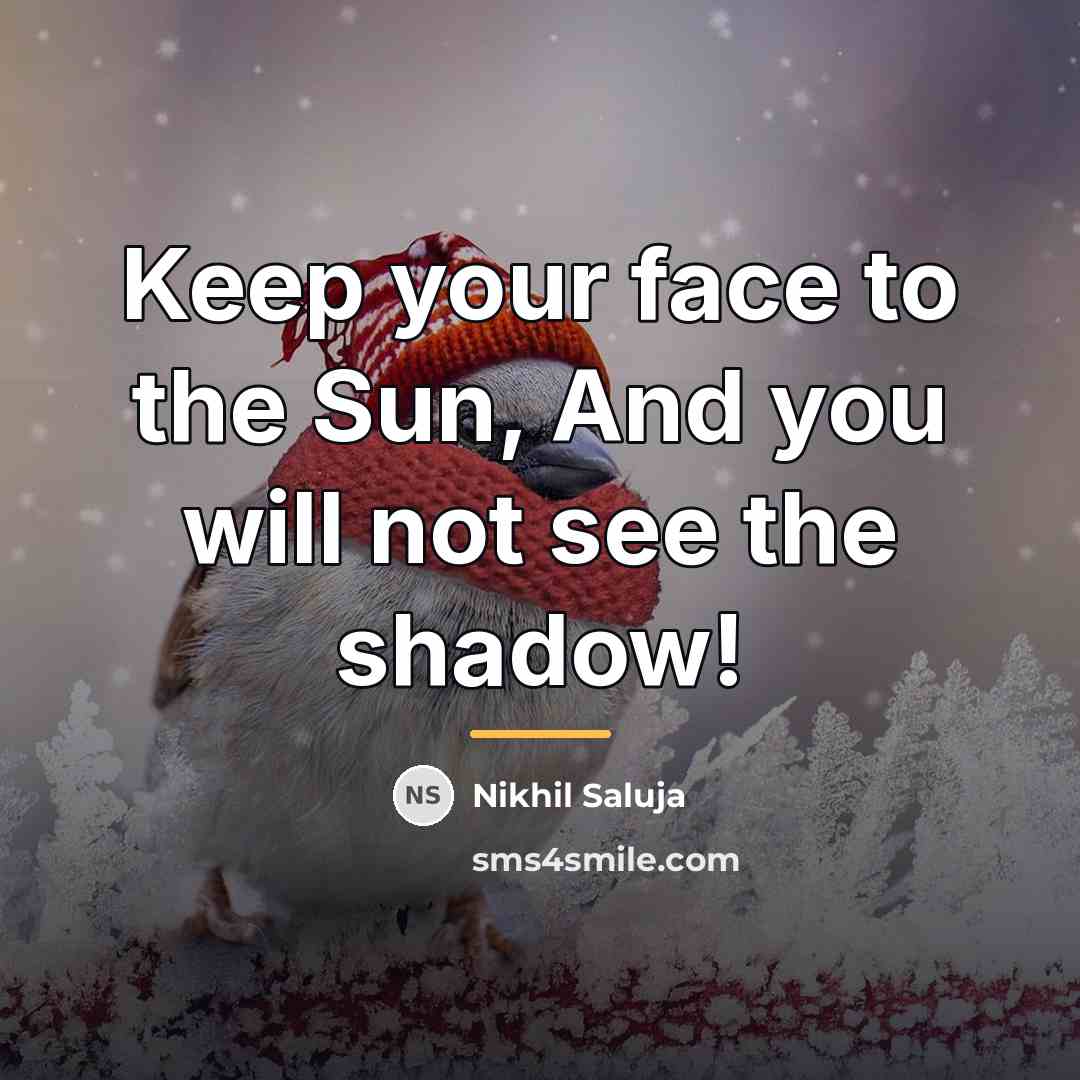 “Keep your face to the Sun, And you will not…” quote by Nikhil Saluja