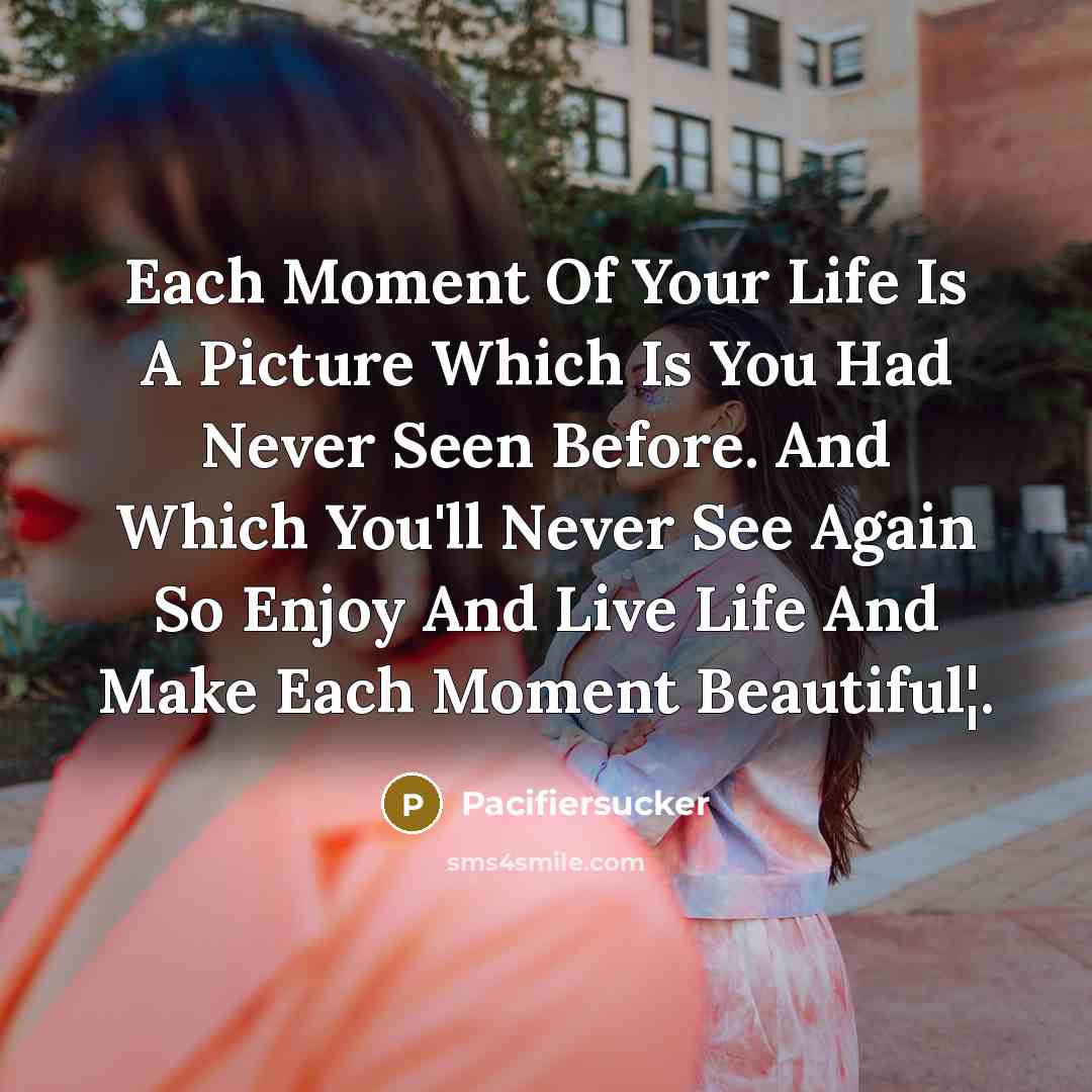 “Each Moment Of Your Life Is A Picture Which Is…” quote by Pacifiersucker