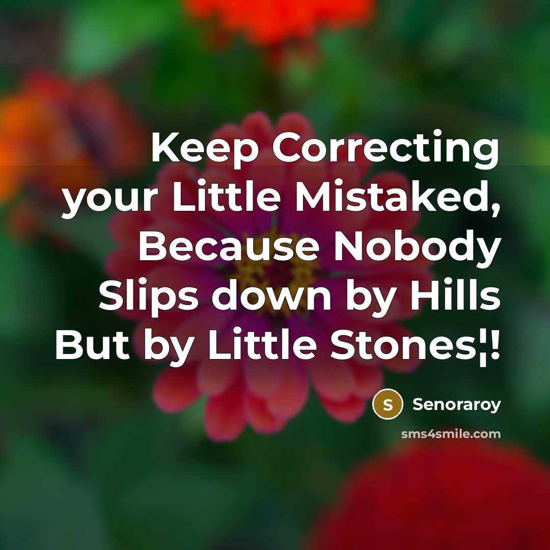 “Keep Correcting your Little Mistaked, Because Nobody Slips down by Hills But by Little Stones¦!” quote by Senoraroy