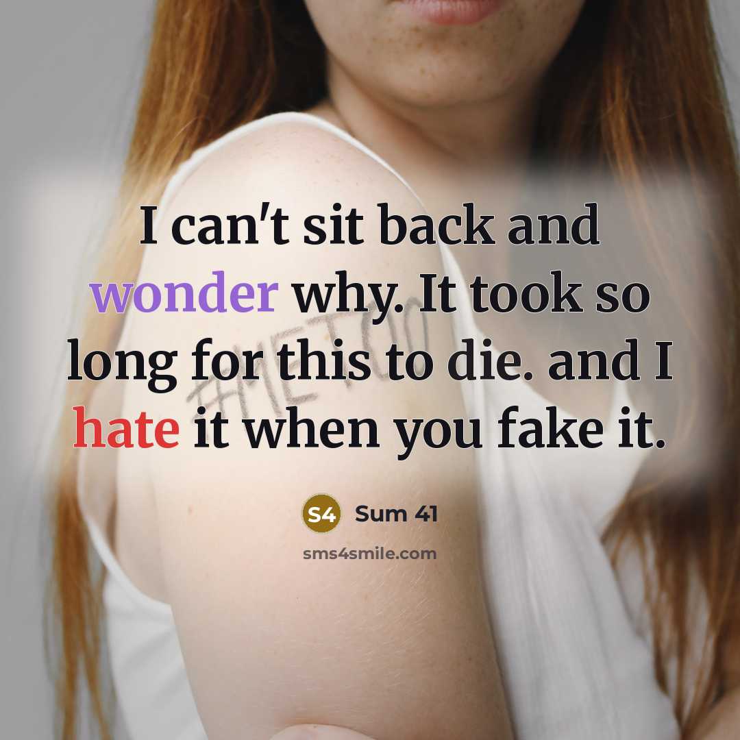 “I can't sit back and wonder why. It took so long for this to die. and I hate it when you fake it.” quote by Sum 41