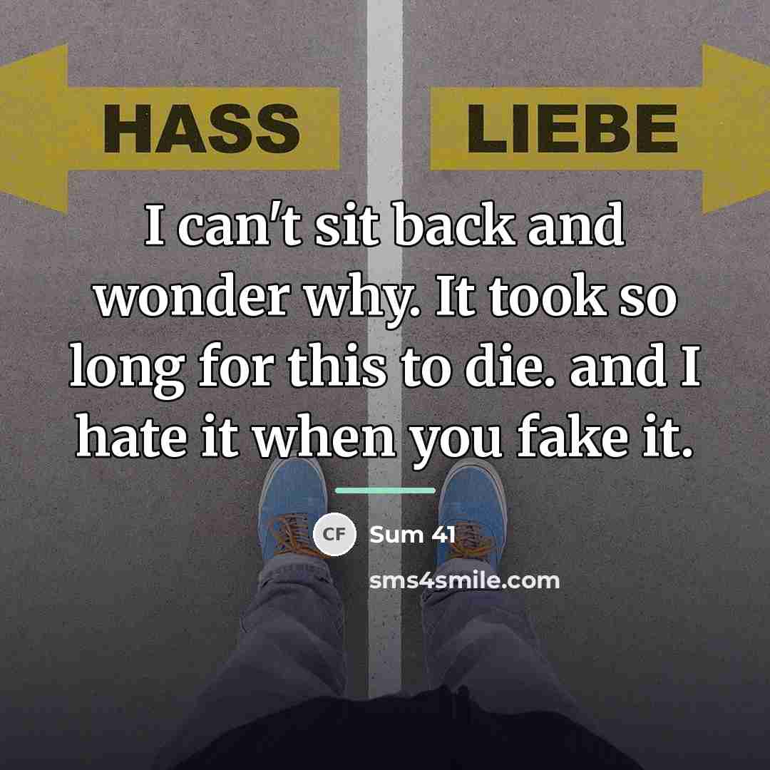 “I can't sit back and wonder why. It took so…” quote by Sum 41