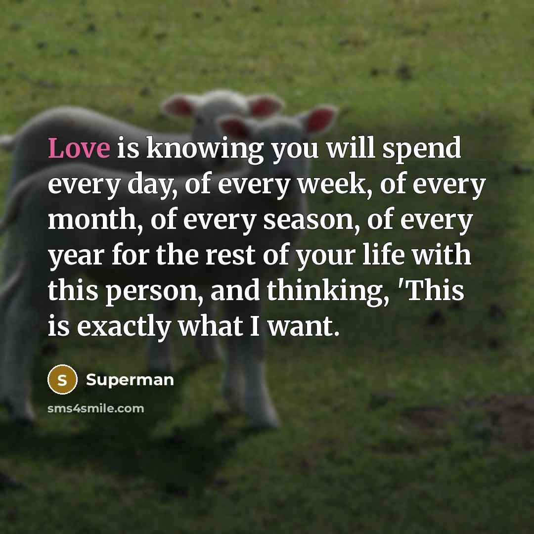 “Love is knowing you will spend every day, of every…” quote by Superman