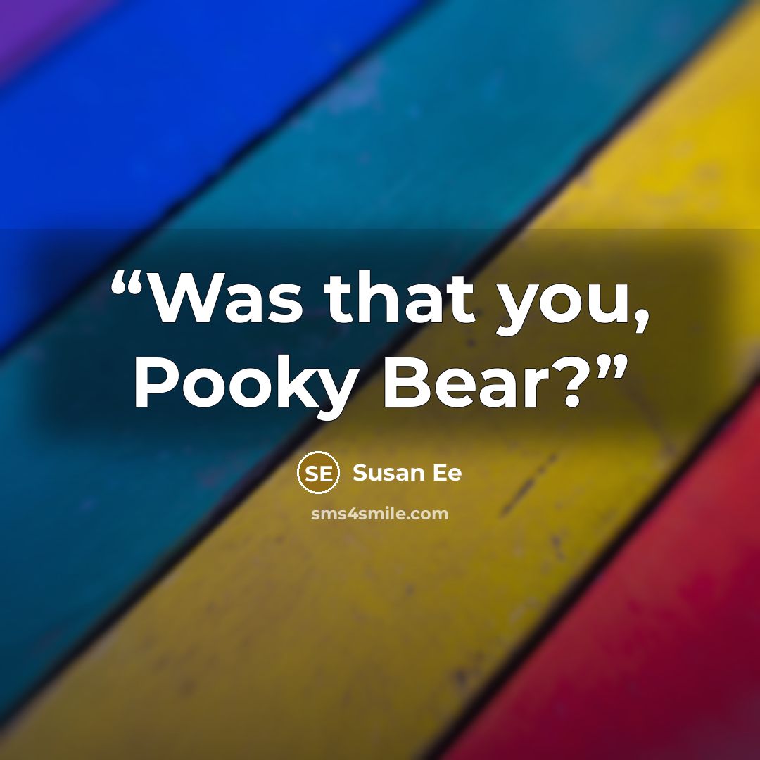 “Was that you, Pooky Bear?” quote by Susan Ee