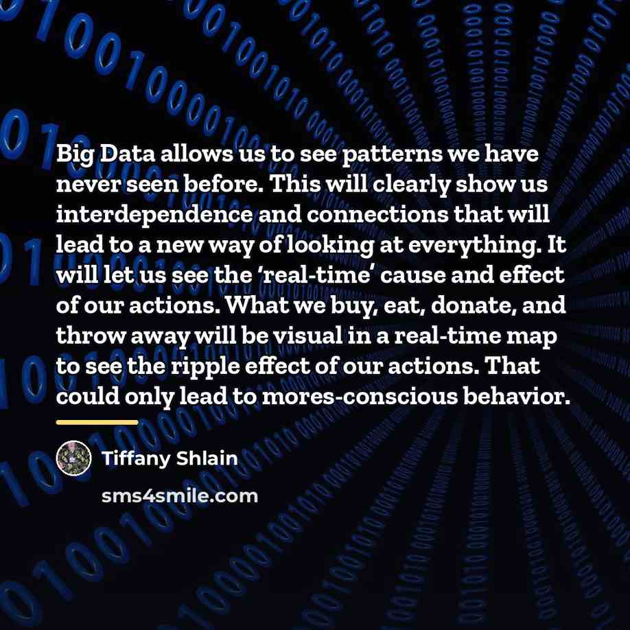 “Big Data allows us to see patterns we have never…” quote by Tiffany Shlain