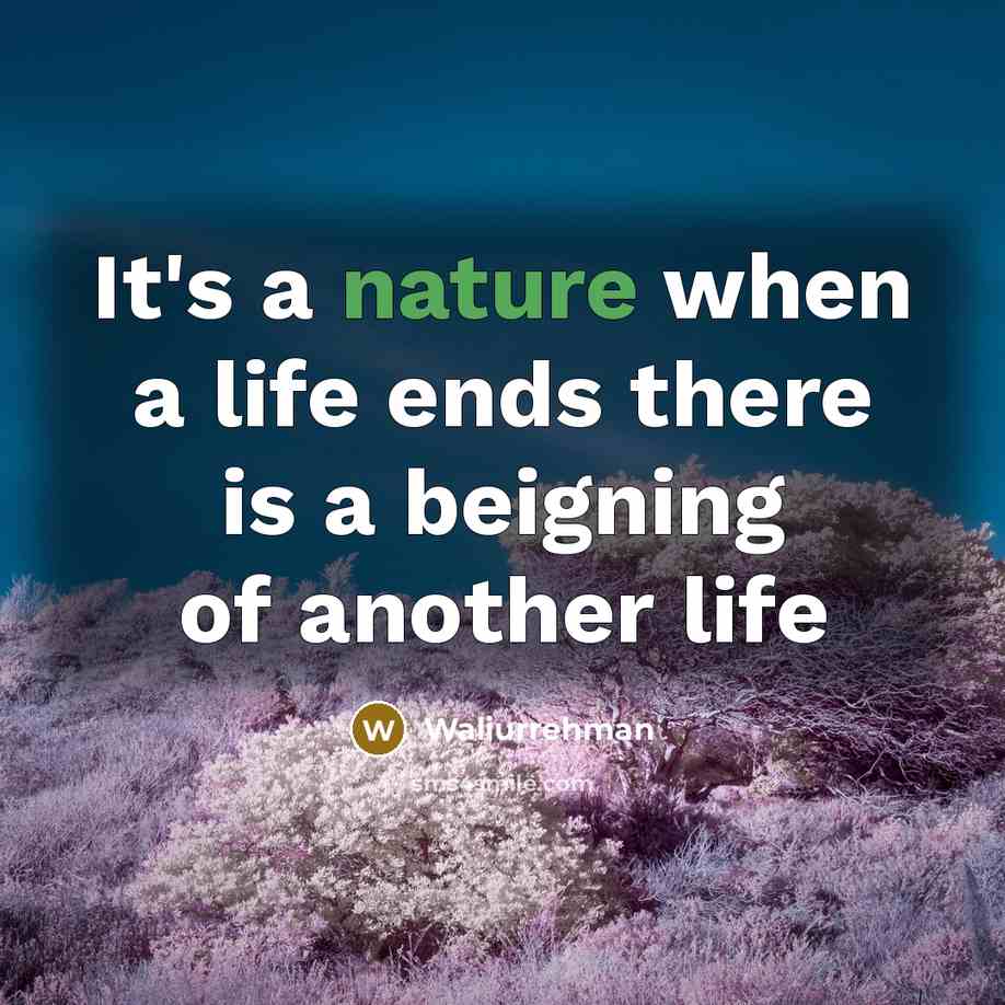 “It's a nature when a life ends there is a…” quote by Waliurrehman