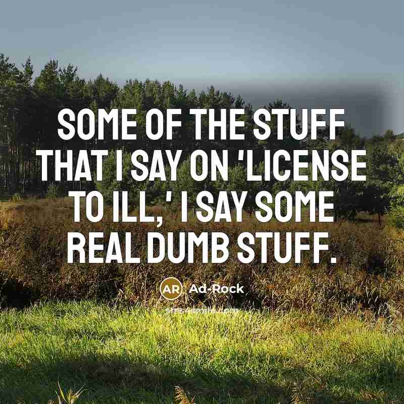 “Some of the stuff that I say on 'License to…” quote by Ad-Rock