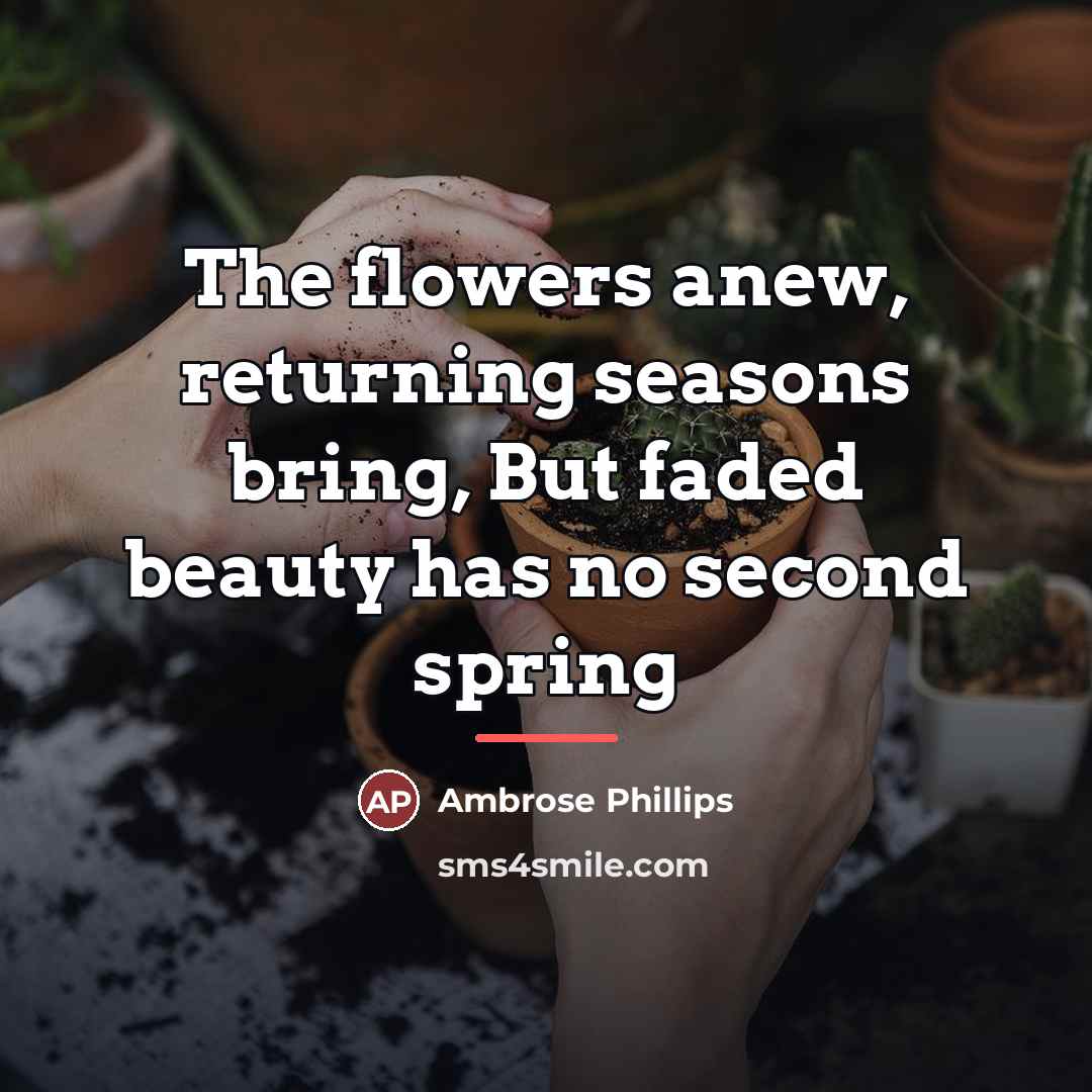 “The flowers anew, returning seasons bring, But faded beauty has…” quote by Ambrose Phillips