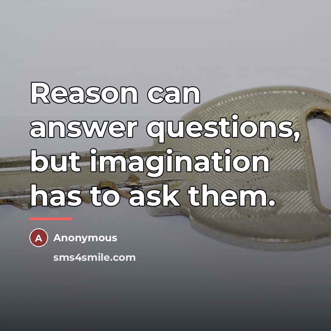 “Reason can answer questions, but imagination has to ask them.…” quote by Anonymous