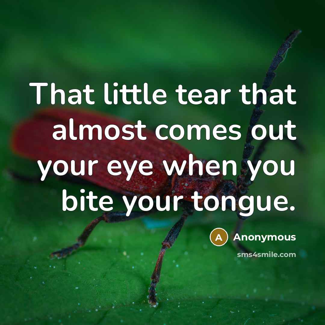“That little tear that almost comes out your eye when…” quote by Anonymous