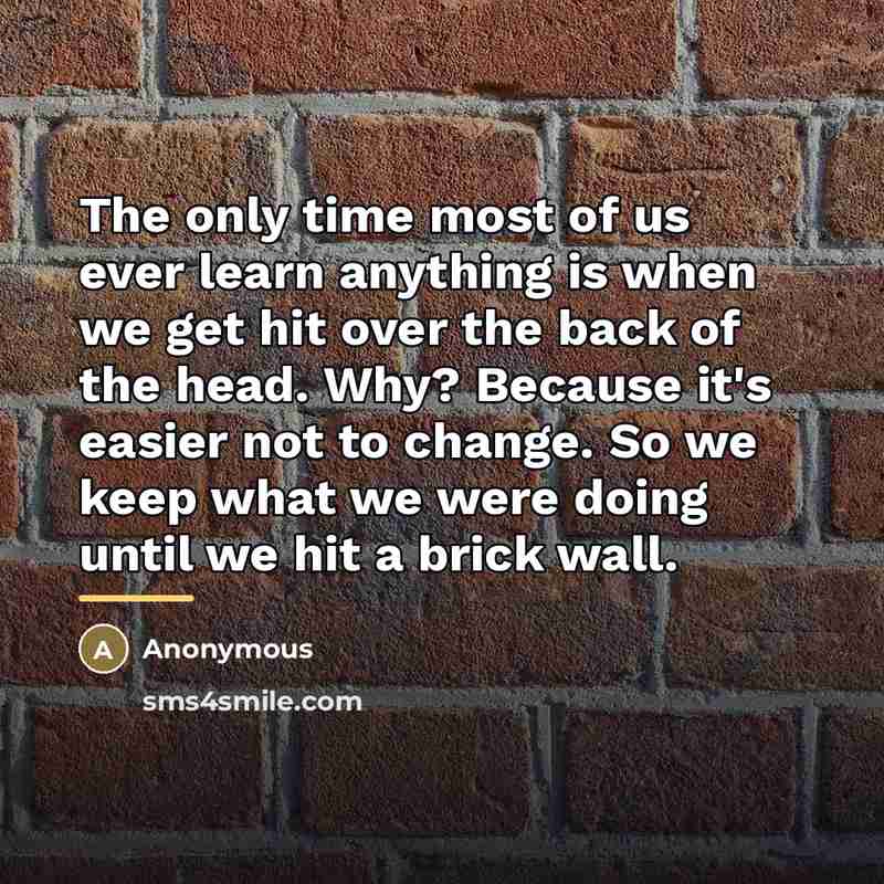 “The only time most of us ever learn anything is…” quote by Anonymous