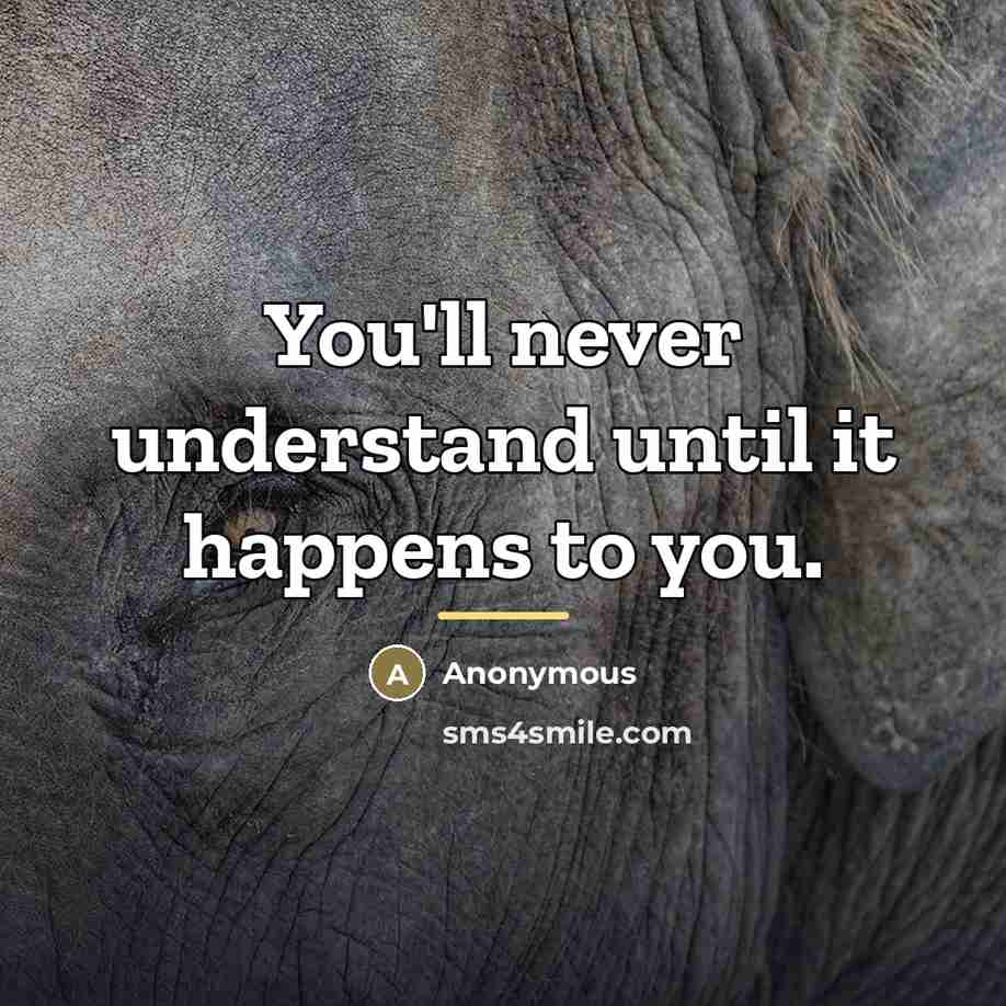 “You'll never understand until it happens to you.…” quote by Anonymous