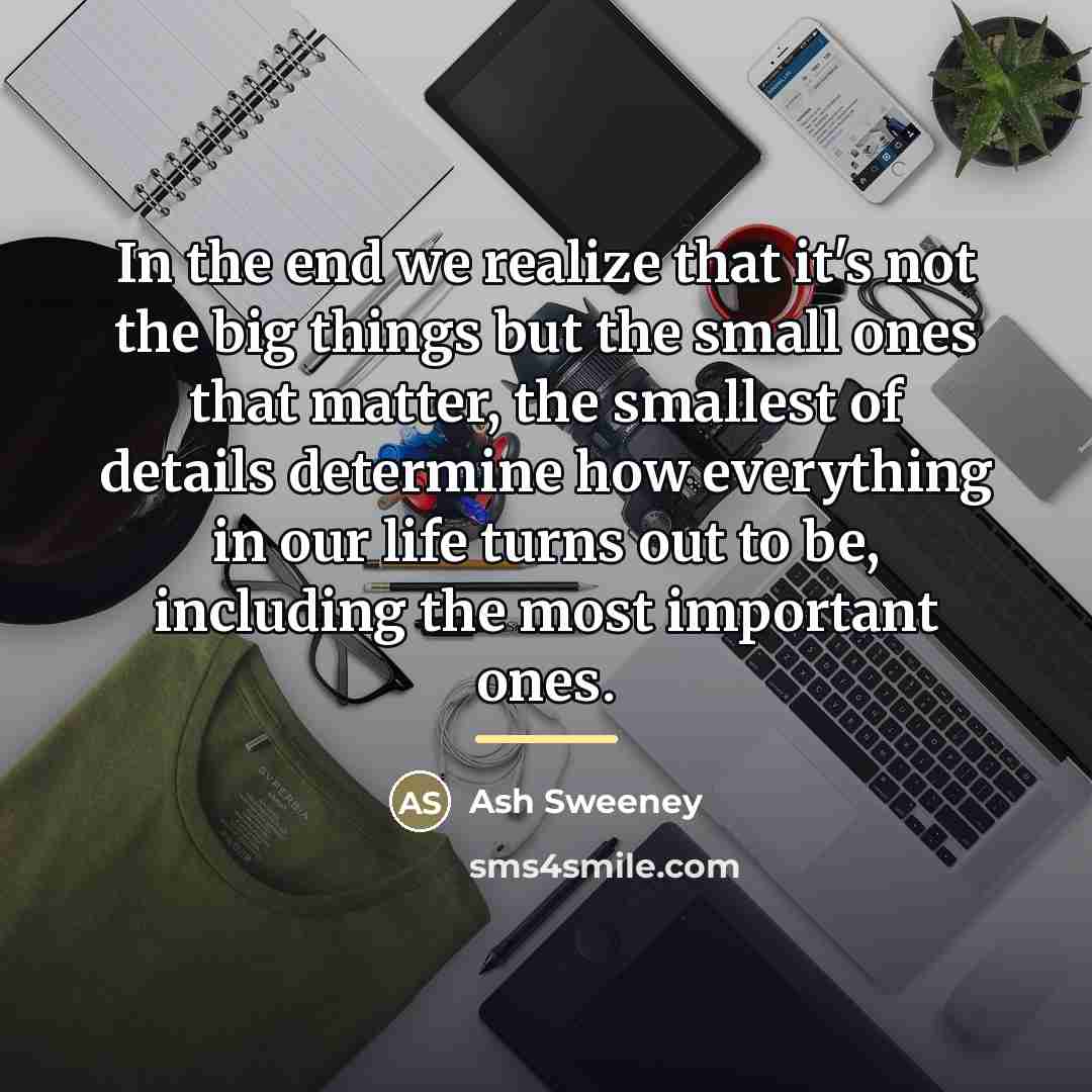 “In the end we realize that it's not the big…” quote by Ash Sweeney