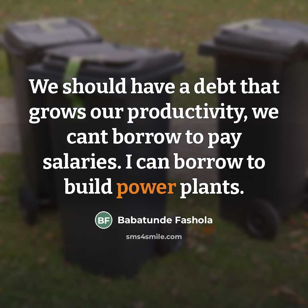 “We should have a debt that grows our productivity, we…” quote by Babatunde Fashola