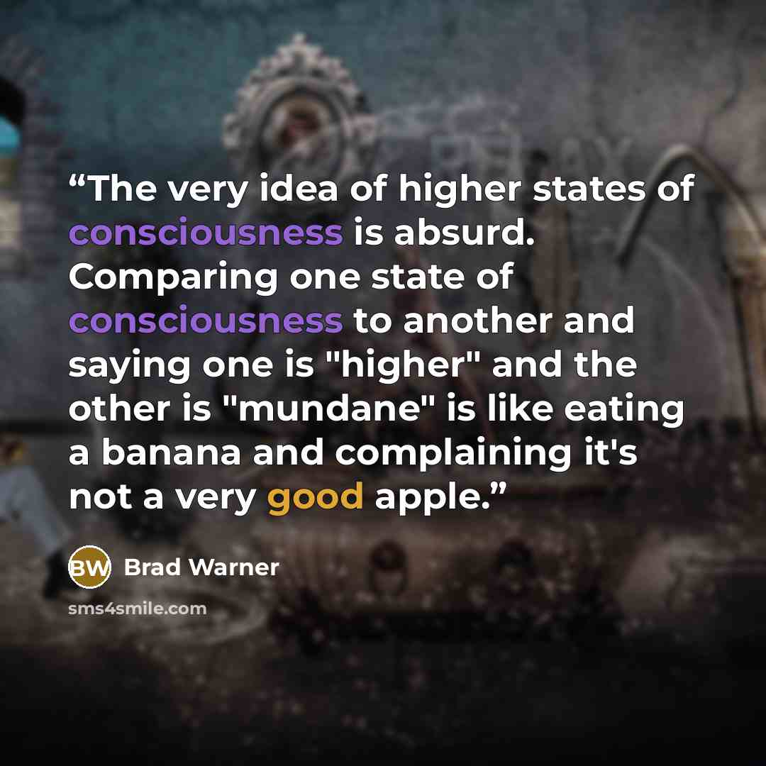“The very idea of higher states of consciousness is absurd. Comparing one state of consciousness to another and saying one is "higher" and the other is "mundane" is like eating a banana and complaining it's not a very good apple.” quote by Brad Warner