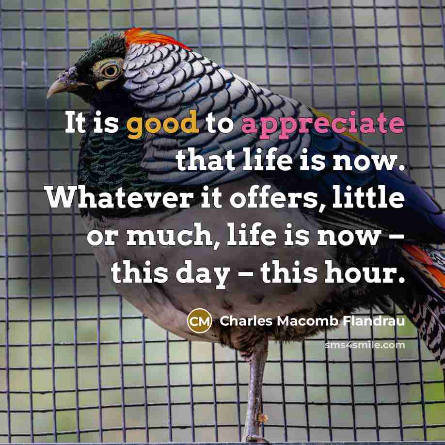 “It is good to appreciate that life is now. Whatever…” quote by Charles Macomb Flandrau