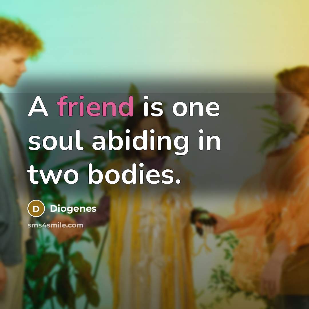 “A friend is one soul abiding in two bodies.…” quote by Diogenes