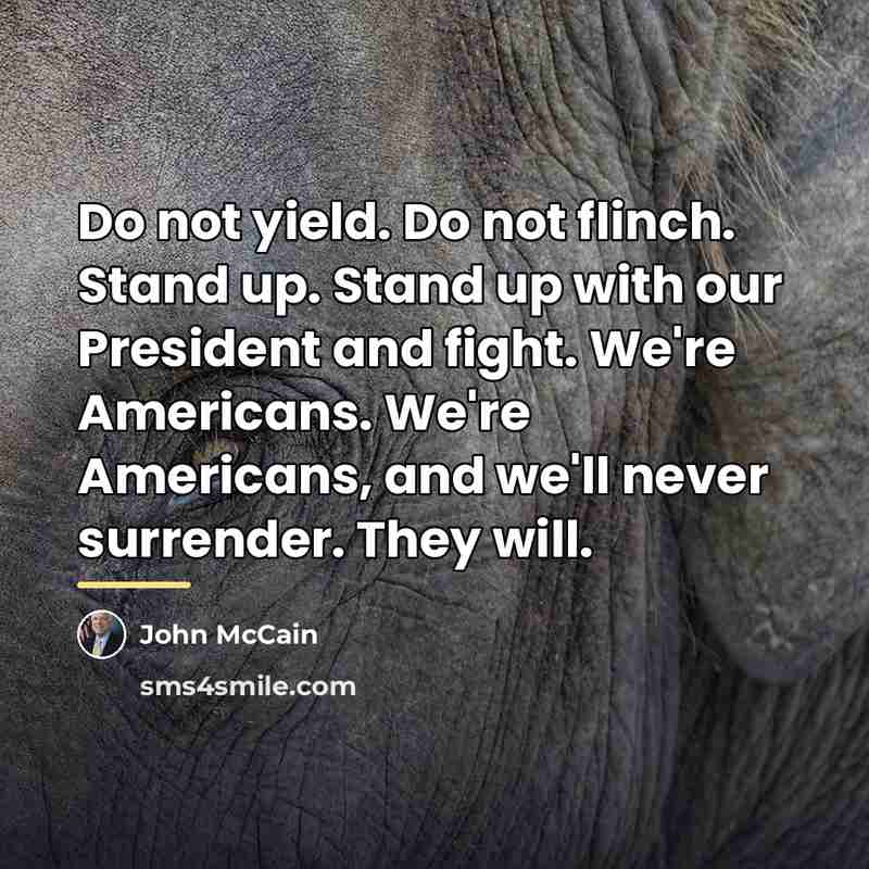 “Do not yield. Do not flinch. Stand up. Stand up…” quote by John McCain