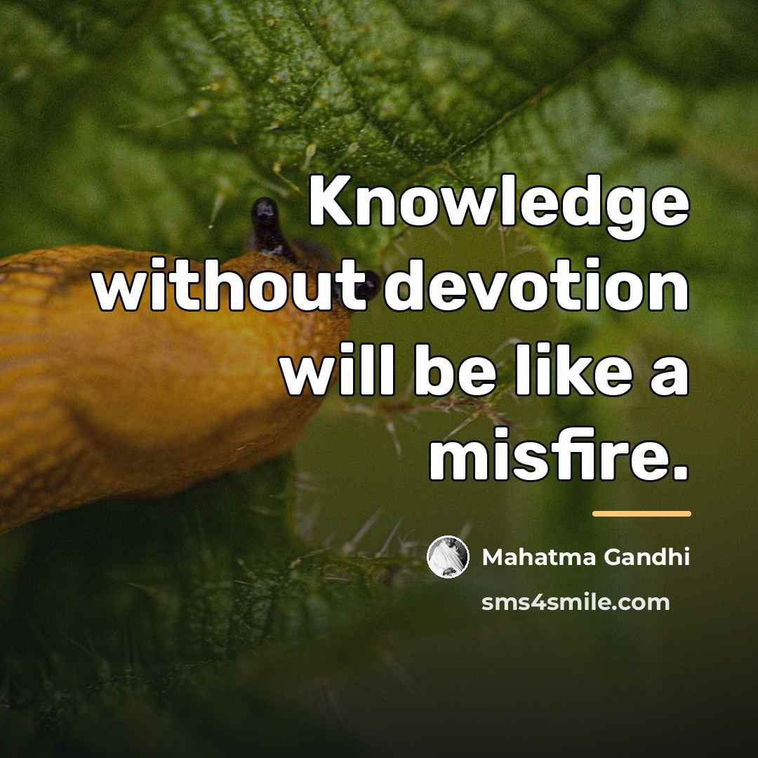 “Knowledge without devotion will be like a misfire.…” quote by Mahatma Gandhi