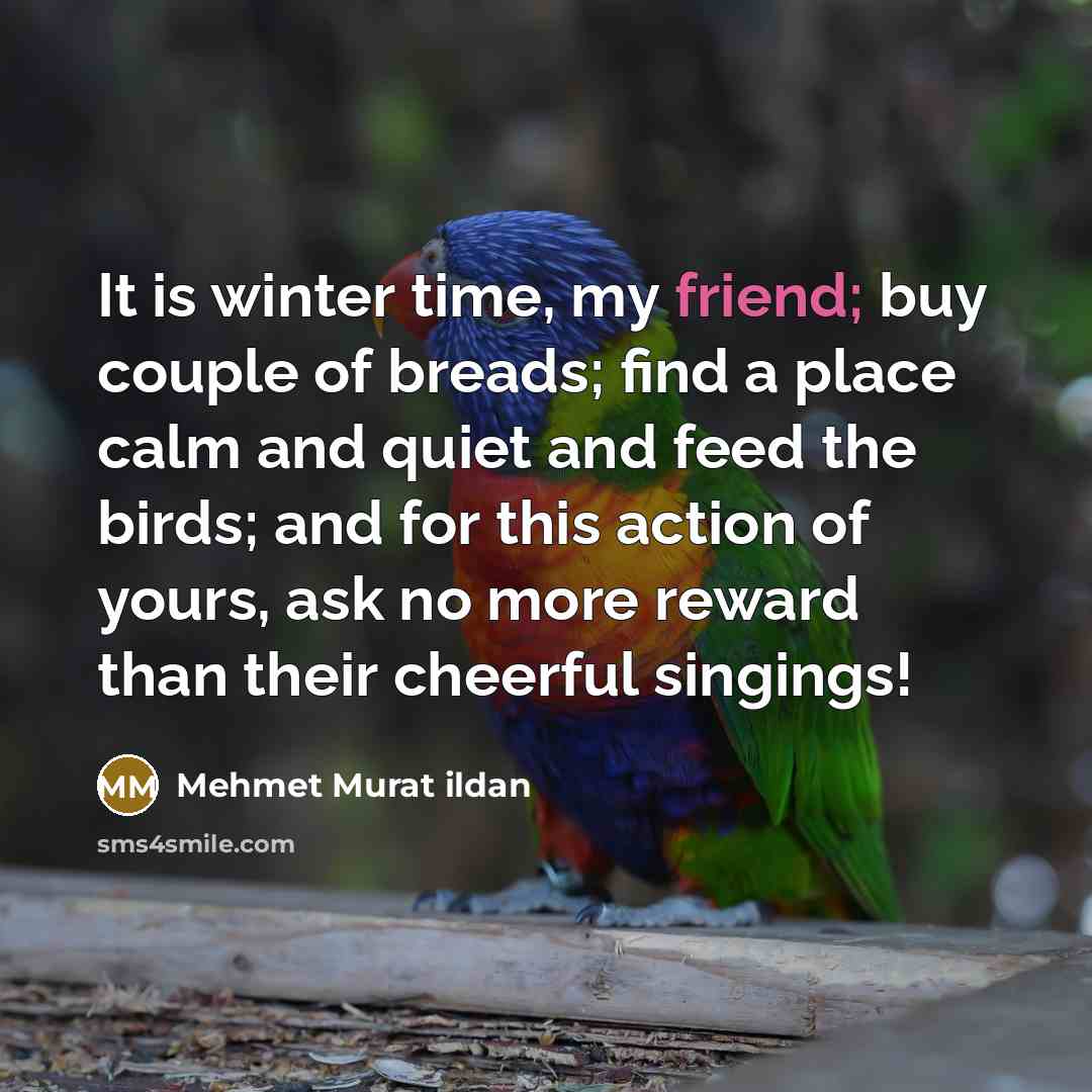 “It is winter time, my friend; buy couple of breads;…” quote by Mehmet Murat Ildan
