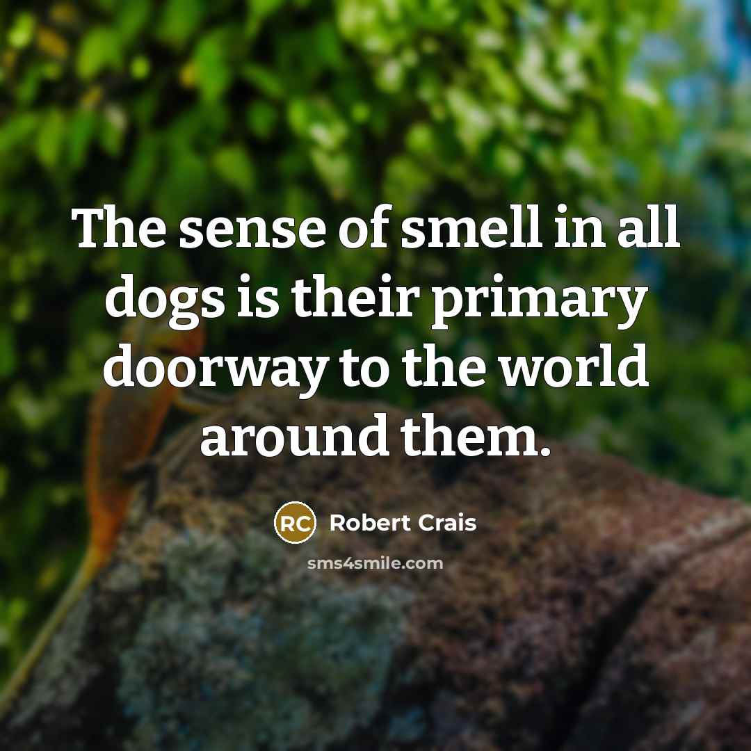 “The sense of smell in all dogs is their primary doorway to the world around them.” quote by Robert Crais