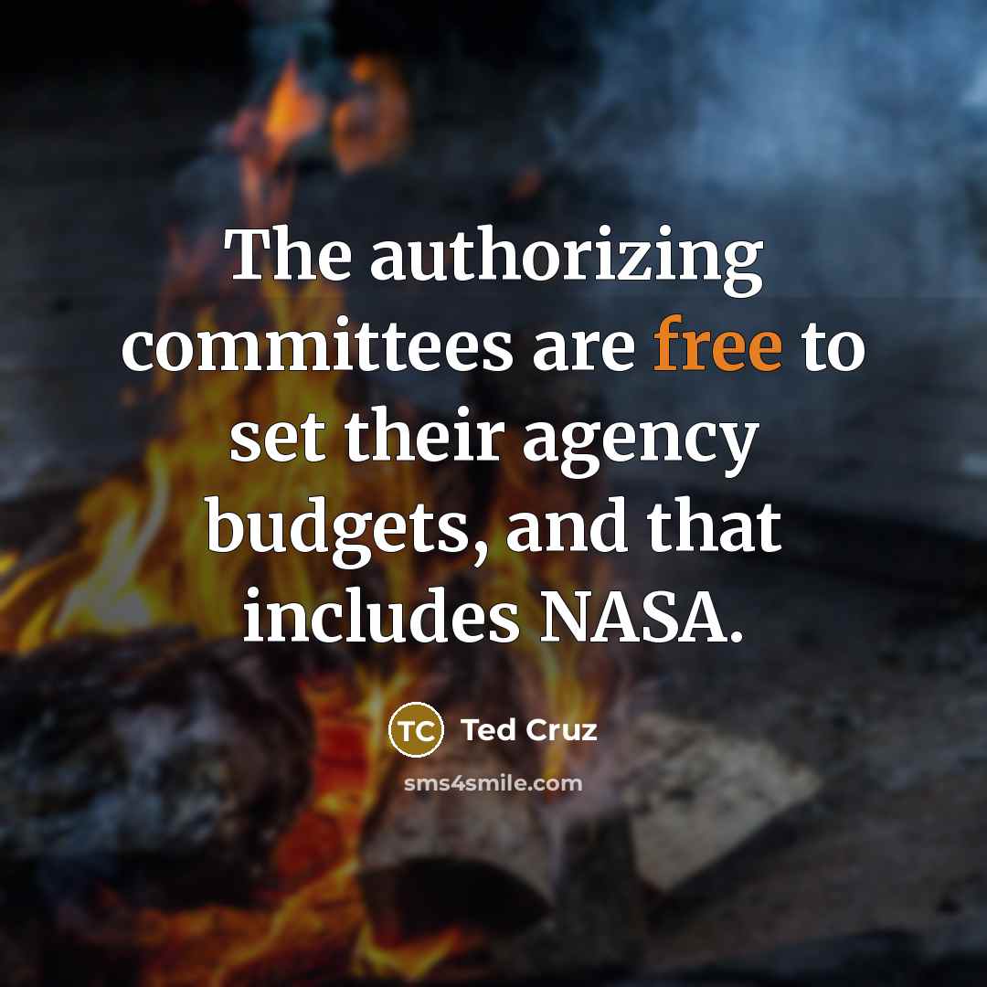 “The authorizing committees are free to set their agency budgets,…” quote by Ted Cruz