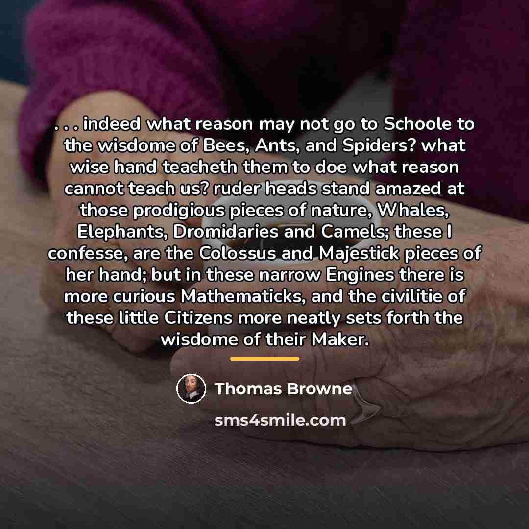 “. . . indeed what reason may not go to…” quote by Thomas Browne