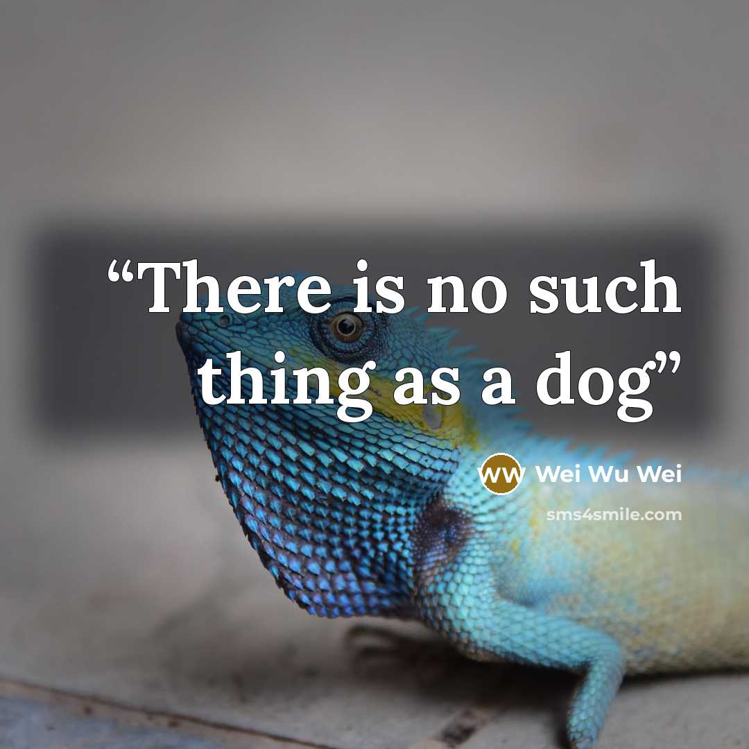 “There is no such thing as a dog” quote by Wei Wu Wei