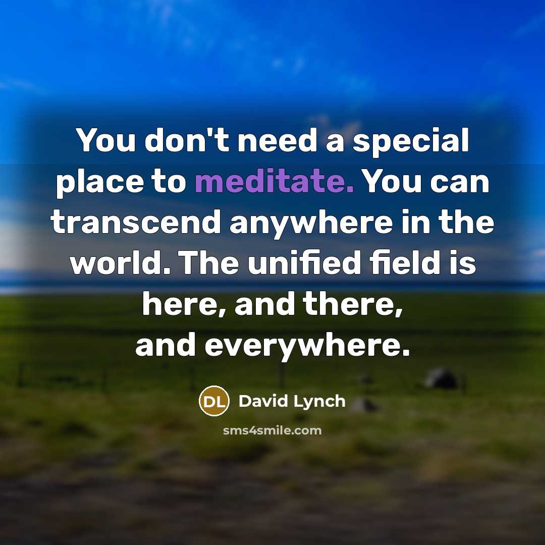 “You don't need a special place to meditate. You can…” quote by David Lynch