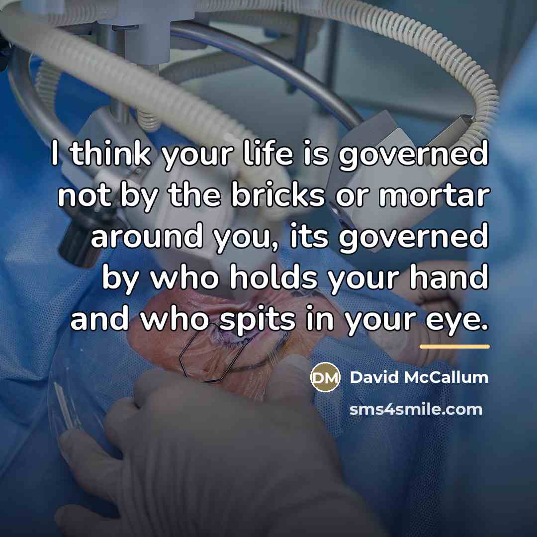 “I think your life is governed not by the bricks…” quote by David McCallum