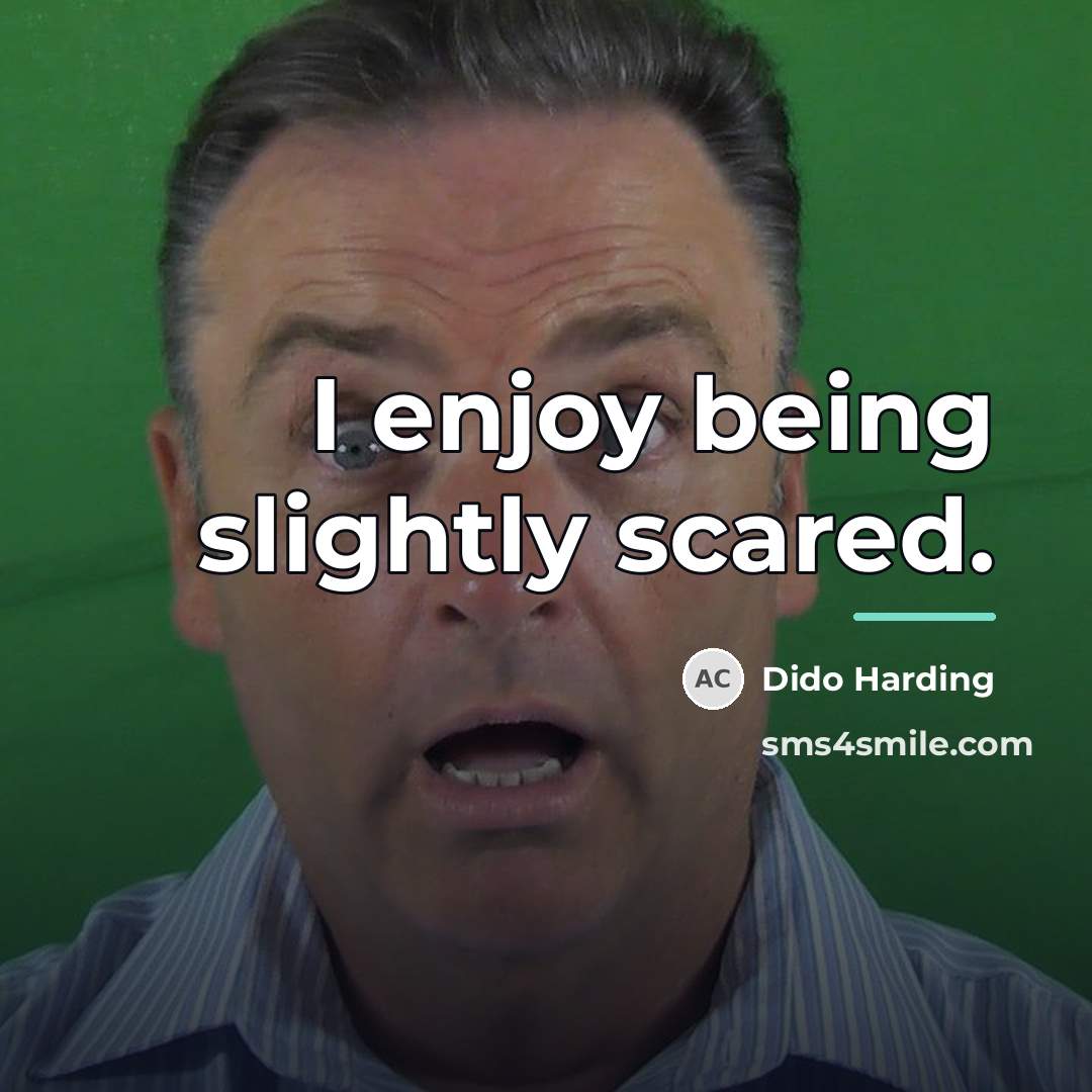 “I enjoy being slightly scared.…” quote by Dido Harding