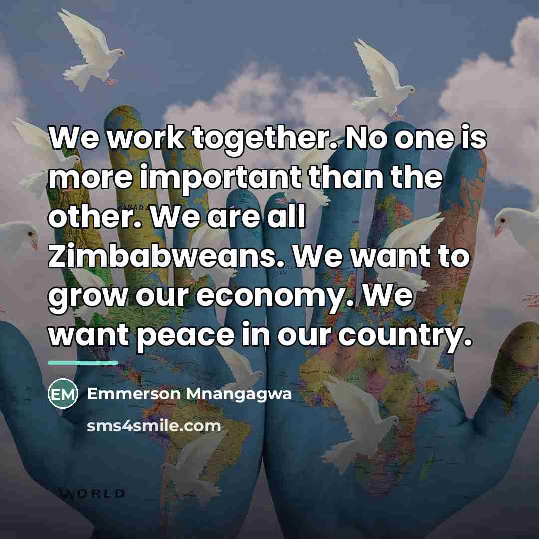 “We work together. No one is more important than the…” quote by Emmerson Mnangagwa