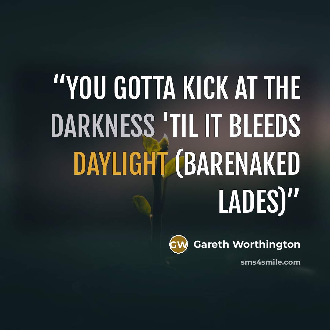 “You gotta kick at the darkness 'til it bleeds daylight (Barenaked lades)” quote by Gareth Worthington