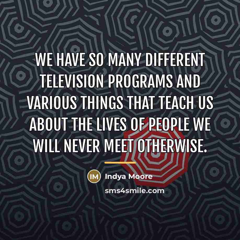 “We have so many different television programs and various things…” quote by Indya Moore