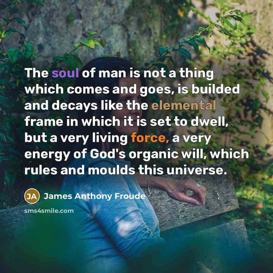 “The soul of man is not a thing which comes…” quote by James Anthony Froude