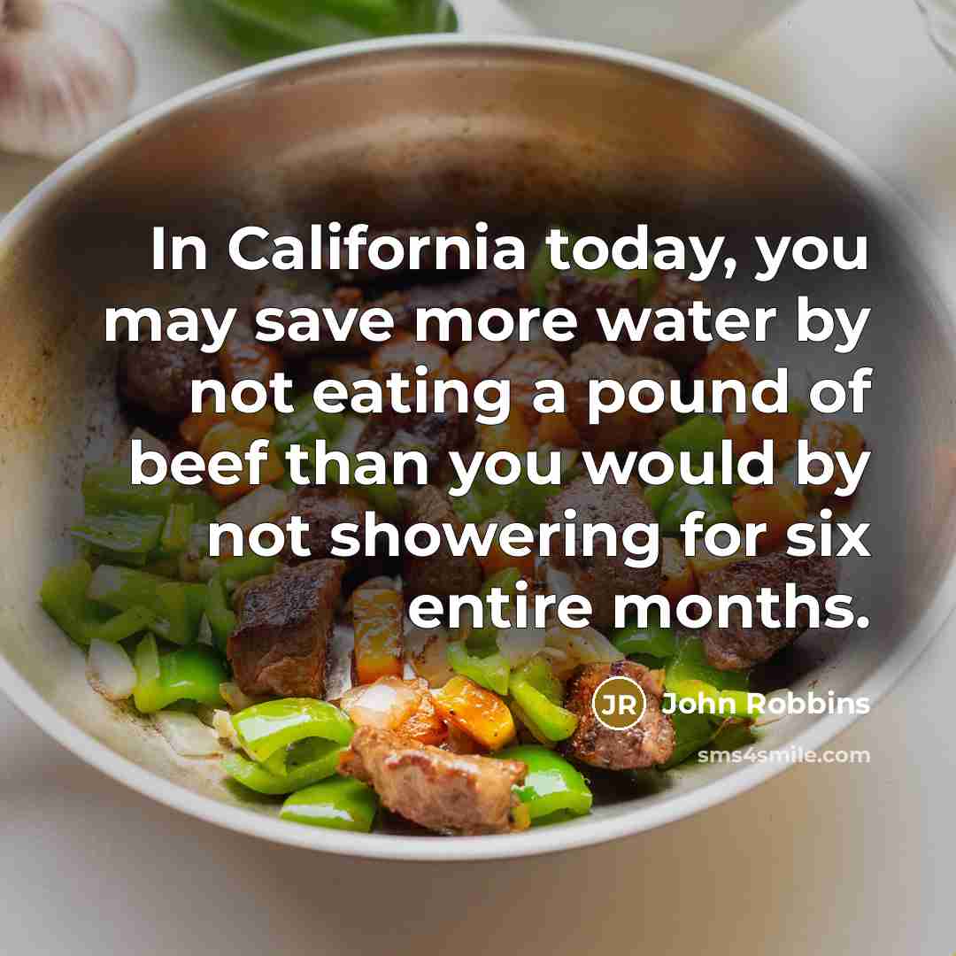 “In California today, you may save more water by not…” quote by John Robbins