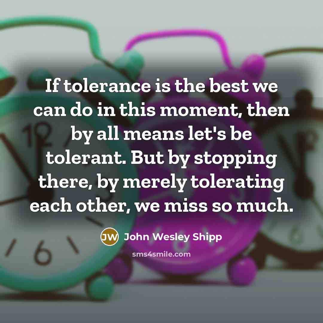 “If tolerance is the best we can do in this…” quote by John Wesley Shipp