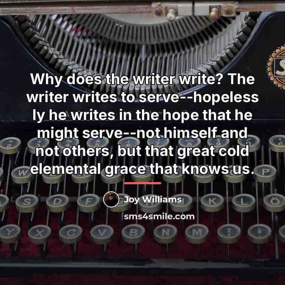 “Why does the writer write? The writer writes to serve--hopeless…” quote by Joy Williams