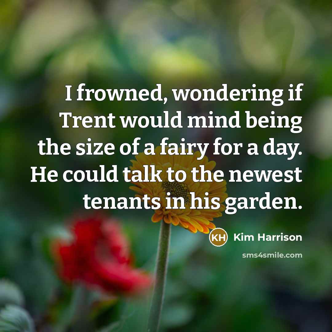 “I frowned, wondering if Trent would mind being the size…” quote by Kim Harrison