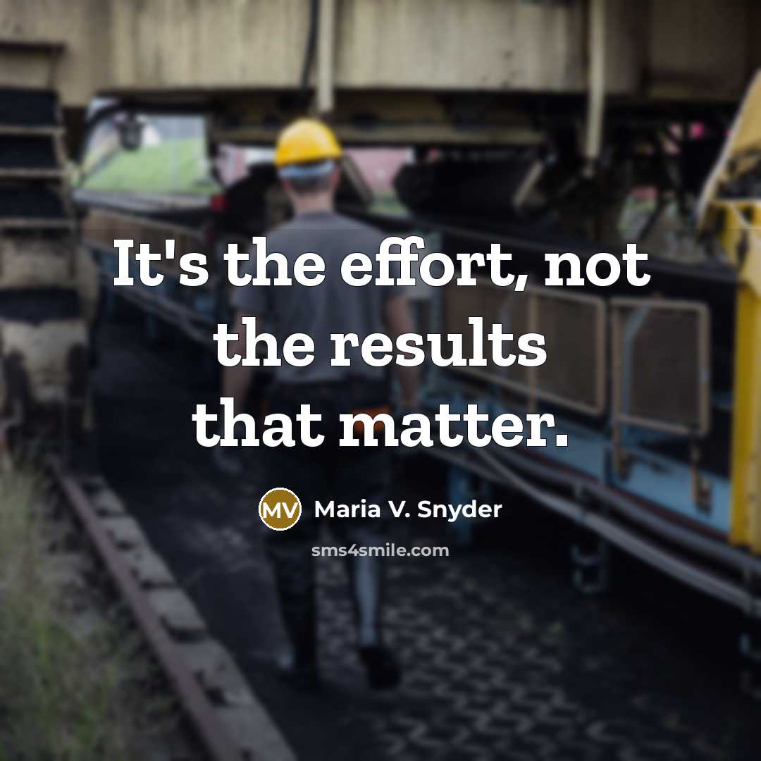 “It's the effort, not the results that matter.…” quote by Maria V. Snyder