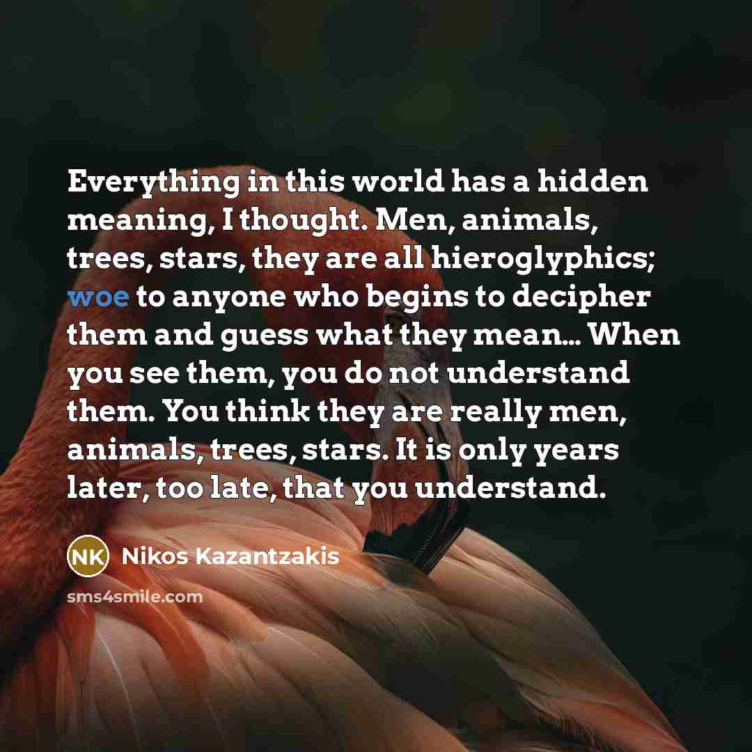 “Everything in this world has a hidden meaning, I thought.…” quote by Nikos Kazantzakis