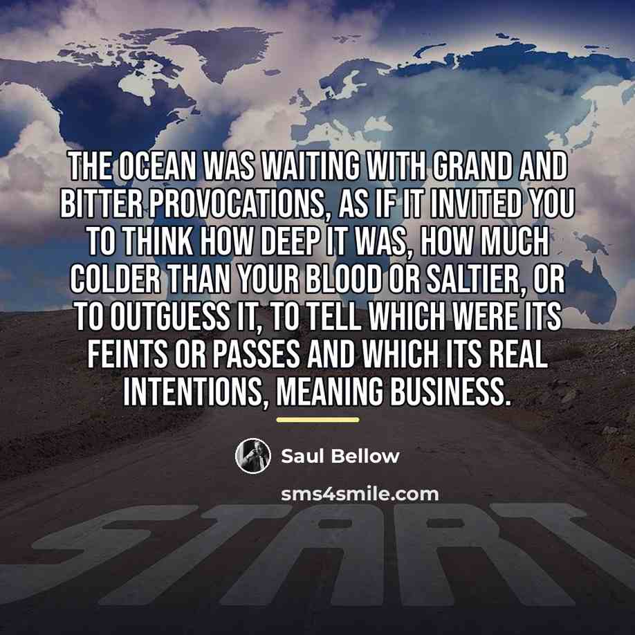 “The ocean was waiting with grand and bitter provocations, as…” quote by Saul Bellow