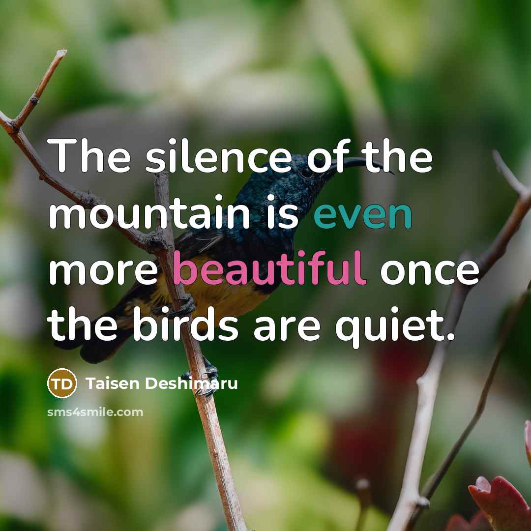 “The silence of the mountain is even more beautiful once…” quote by Taisen Deshimaru