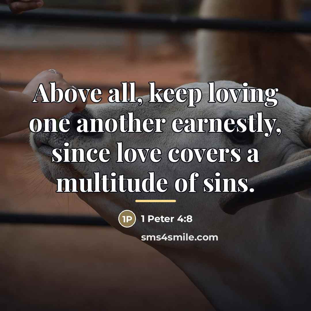 “Above all, keep loving one another earnestly, since love covers…” quote by 1 Peter 4:8