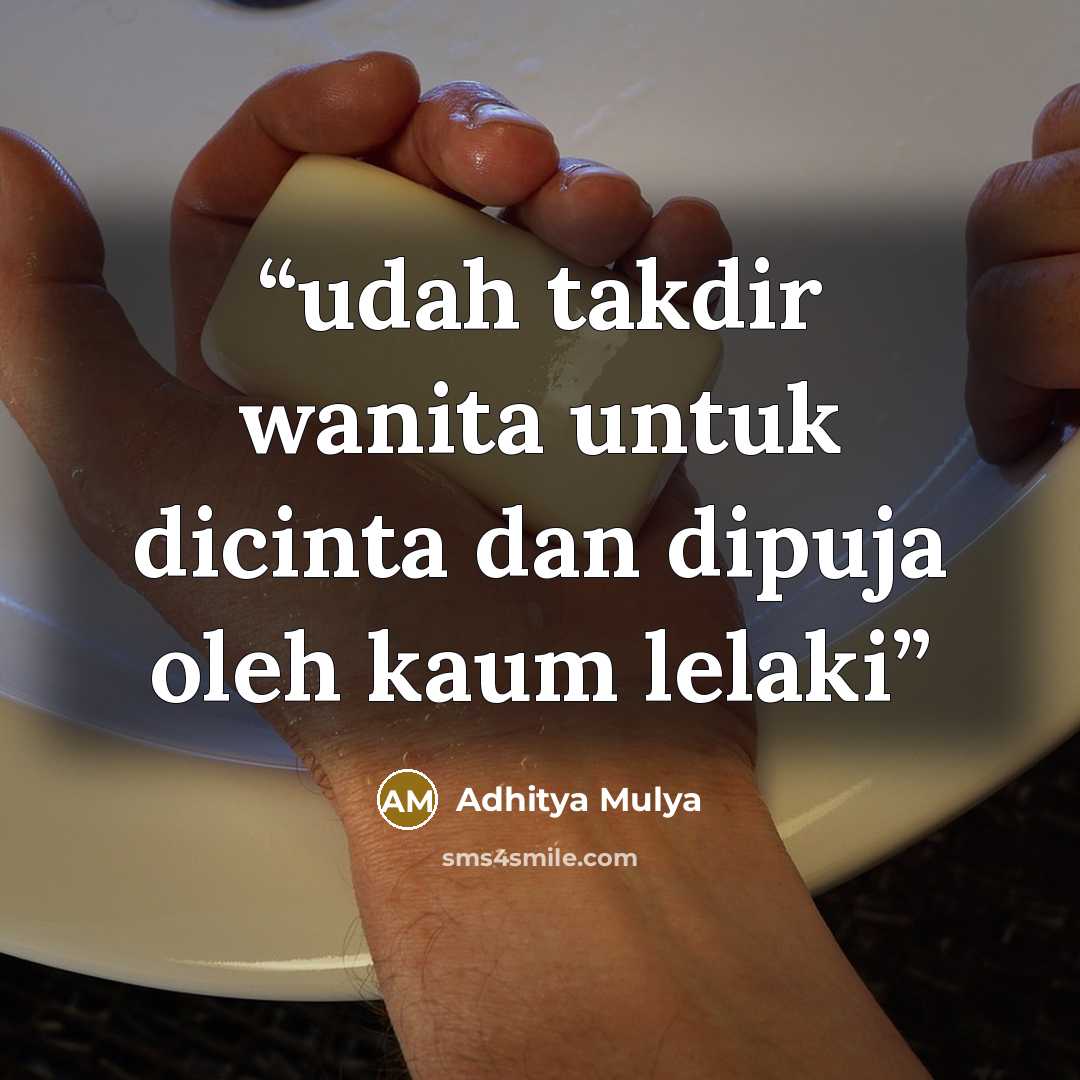 “udah takdir wanita untuk dicinta dan dipuja oleh kaum lelaki” quote by Adhitya Mulya