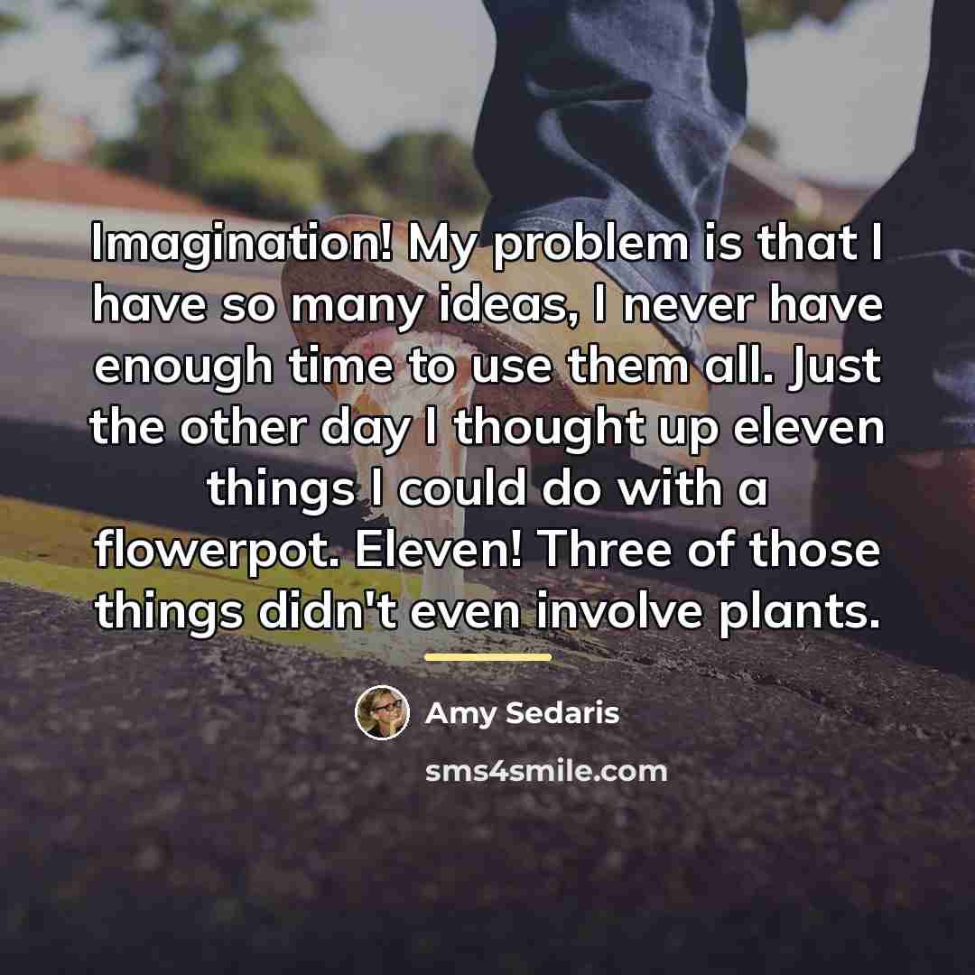 “Imagination! My problem is that I have so many ideas,…” quote by Amy Sedaris