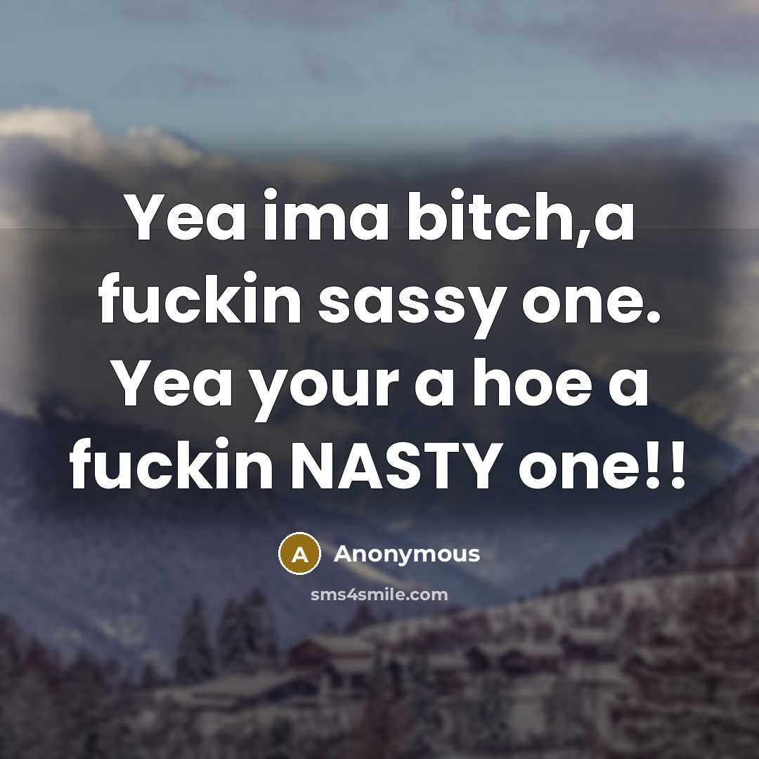 “Yea ima bitch,a fuckin sassy one. Yea your a hoe a fuckin NASTY one!!” quote by Anonymous