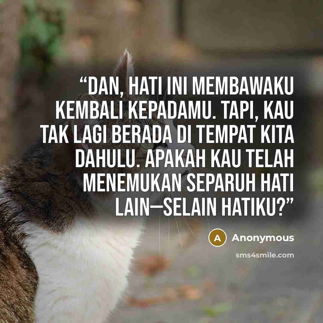 “Dan, hati ini membawaku kembali kepadamu. Tapi, kau tak lagi berada di tempat kita dahulu. Apakah kau telah menemukan separuh hati lain—selain hatiku?” quote by Anonymous
